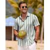 imageCOOFANDY Mens Linen Shirts Short Sleeve Casual Shirts Button Down Shirt for Men Beach Summer Wedding ShirtLight Greenwhite Stripes