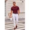 imageCOOFANDY Mens Knit Polo Shirts Casual Short Sleeve Button Down Polo Shirt Classic Golf ShirtsEwine Red White Striped