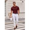 imageCOOFANDY Mens Knit Polo Shirts Casual Short Sleeve Button Down Polo Shirt Classic Golf ShirtsWine Red