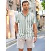 imageCOOFANDY Mens Short Sleeve Wrinkle Free Shirt Casual Button Down Shirt Summer Dress ShirtStripegreenwhite