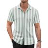 Stripe-green&white