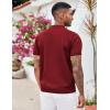 imageCOOFANDY Mens Zipper Polo Shirt Casual Knit Short Sleeve Polo T Shirt Classic Fit ShirtsSolid Wine Red