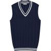 imageCOOFANDY Mens Sweater Vest V Neck Casual Sleeveless Pullover Striped Cable Knit Sweater VestNavy Blue  White Stripe
