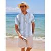 imageCOOFANDY Mens Cotton Linen Henley Shirt Short Sleeve Hippie Casual Beach TShirts with PocketBluewhite Vertical Stripes