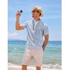 imageCOOFANDY Mens Cotton Linen Henley Shirt Short Sleeve Hippie Casual Beach TShirts with PocketBluewhite Vertical Stripes