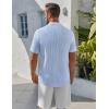 imageCOOFANDY Mens Henley Shirt Short Sleeve Stand Collar Summer Casual Beach Hippie TShirtsStriped Blue  White