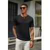 imageCOOFANDY Mens Henley Shirts Short Sleeve Casual Summer Basic T Shirt Soild Button Tee TopB2 Pack BlackNavy Blue