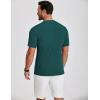 imageCOOFANDY Mens Henley Shirts Short Sleeve Ribbed TShirts Bodybuilding Workout Tee ShirtsGreen