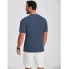 imageCOOFANDY Mens Henley Shirts Short Sleeve Ribbed TShirts Bodybuilding Workout Tee ShirtsGrey Blue