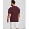 imageCOOFANDY Mens Henley Shirts Short Sleeve Ribbed TShirts Bodybuilding Workout Tee ShirtsWine Red