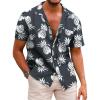 Black / White Pineapple