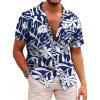 Blue / White Floral