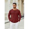 imageCOOFANDY Mens Henley Shirts Long Sleeve Casual Pullover TShirt Fashion Basic Button ShirtstWine Red