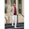 imageCOOFANDY Mens Henley Shirts Long Sleeve Casual Pullover TShirt Fashion Basic Button ShirtstWine Red