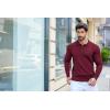 imageCOOFANDY Mens Knit Polo Shirts Casual Long Sleeve Classic Polo Shirts Button Down Golf ShirtsWine Red