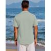 imageCOOFANDY Mens Beach Summer Shirts Linen Texture Shirts Short Sleeve Casual Button Down ShirtLight Green