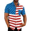 Flag Print