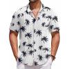 White-coconut Tree