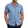 Blue Plaid