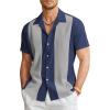 Navy Blue Light Gray