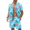 Blue&flamingo
