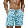 imageCOOFANDY Mens Swim Trunks 7 inch Bathing Suit with Mesh Liner Swim Shorts Board Short SwimsuitTurquoise Dolphin and Whale