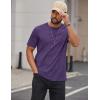 imageCOOFANDY Mens Cotton TShirts Short Sleeve T Shirt Crew Neck Tees Casual Wash Basic Tee ShirtsDark Purple
