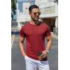 imageCOOFANDY Mens Henley Shirts Short Sleeve Casual Summer Basic Tee Solid Button TShirts Wine Red