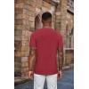 imageCOOFANDY Mens Henley Shirts Short Sleeve Casual Summer Basic Tee Solid Button TShirts Wine Red