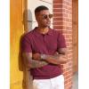 imageCOOFANDY Mens Knit Polo Shirts Short Sleeve Slim Fit Textured Golf Polo Shirt Casual Summer Vacation TShirtsWine Red