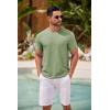 imageCOOFANDY Mens T Shirt Short Sleeve Classic Crew Neck TShirt Casual Summer Basic Tee ShirtsLight Green