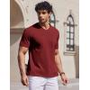 imageCOOFANDY Mens T Shirts 100 Cotton V Neck Tee Shirt Plain Short Sleeve Casual ShirtsWine Red