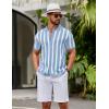 imageCOOFANDY Mens Knit Shirts Short Sleeve Button Down Polo Shirt Striped Casual Summer Beach ShirtsLight Blue  White