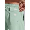 imageCOOFANDY Mens 7 Swim Trunks with Compression Liner Stretch Swimming Shorts with Zipper PocketsMint Green