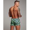 imageCOOFANDY Mens Swim Trunk Quick Dry Swimwear Mesh Lining Bathing Suit Swimsuit Board Beach Sport ShortGreen Monstera
