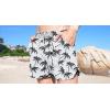 imageCOOFANDY Mens Swim Trunks Quick Dry Board Shorts Swimsuit Swimwear Bathing SuitP Whitecoconut Tree
