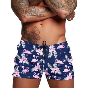 imageCOOFANDY Mens Swim Trunk Quick Dry Swimwear Mesh Lining Bathing Suit Swimsuit Board Beach Sport ShortNavy Blue Flamingo