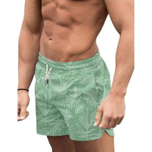 imageCOOFANDY Mens Swim Trunks Quick Dry Board Shorts Swimsuit Swimwear Bathing SuitP Light Green